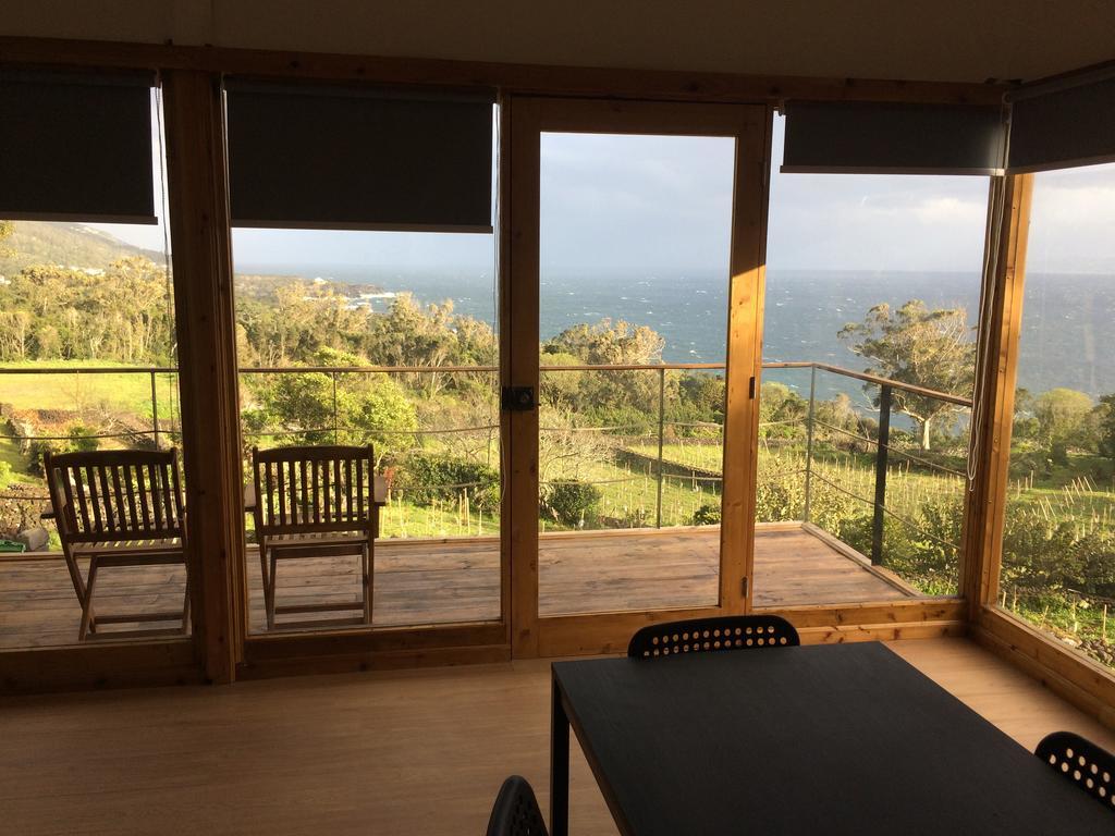 Intact Farm Resort 维拉斯 外观 照片