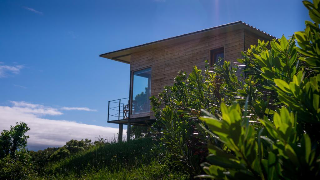Intact Farm Resort 维拉斯 外观 照片