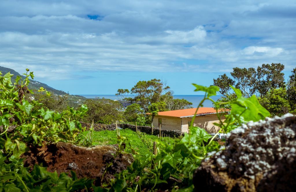 Intact Farm Resort 维拉斯 外观 照片